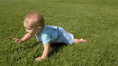 Baby in a blue shirt crawling on grass
