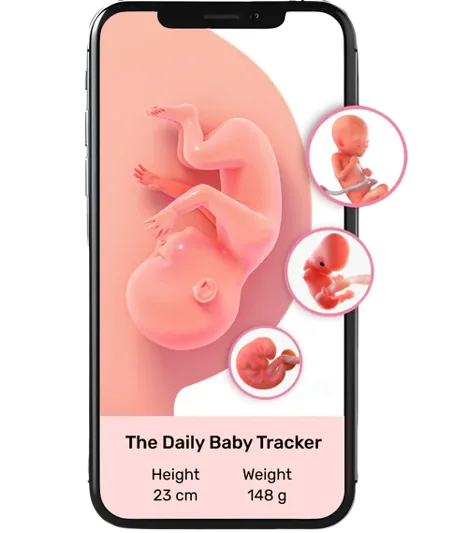 MeroMomma app showing a daily baby growth tracker